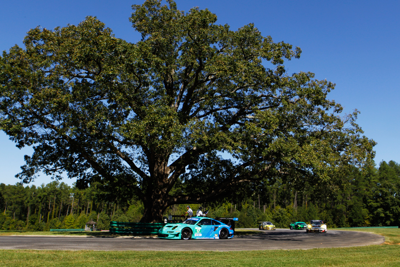 2012_ALMS_VIR_FalkenAtOakTree_s.jpg